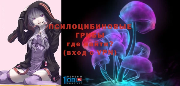 ПСИЛОЦИБИНОВЫЕ ГРИБЫ Белокуриха