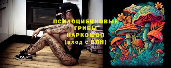ПСИЛОЦИБИНОВЫЕ ГРИБЫ Белокуриха