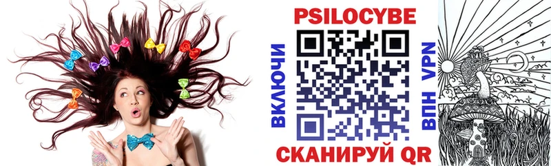 Псилоцибиновые грибы Magic Shrooms  Купить закладки  Сковородино 